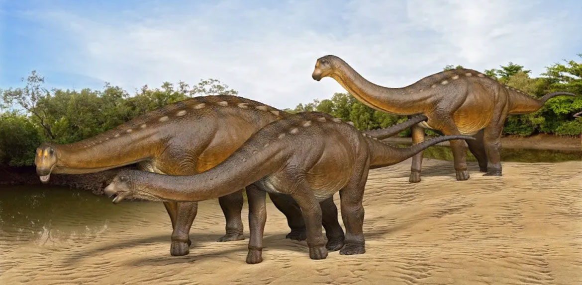 Novo dinossauro brasileiro é identificado na região de Ibirá