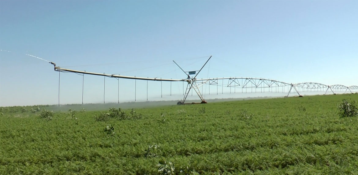 Agricultura irrigada: o desafio de assegurar água para abastecer consumidores, cidades e indústrias