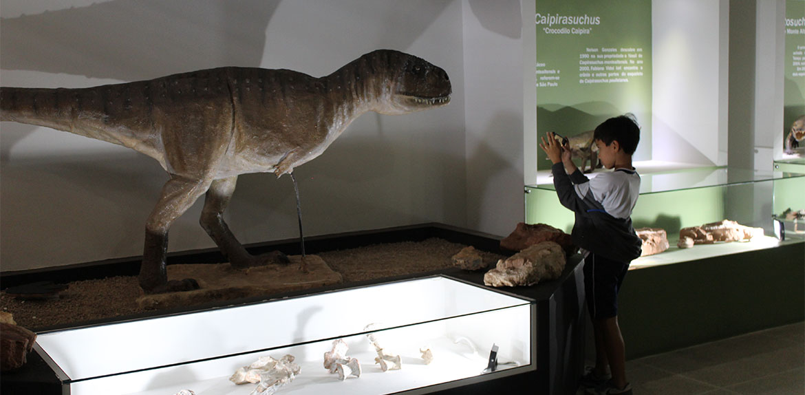 Trilha dos Dinossauros vai divulgar conhecimentos sobre o patrimônio pré-histórico brasileiro