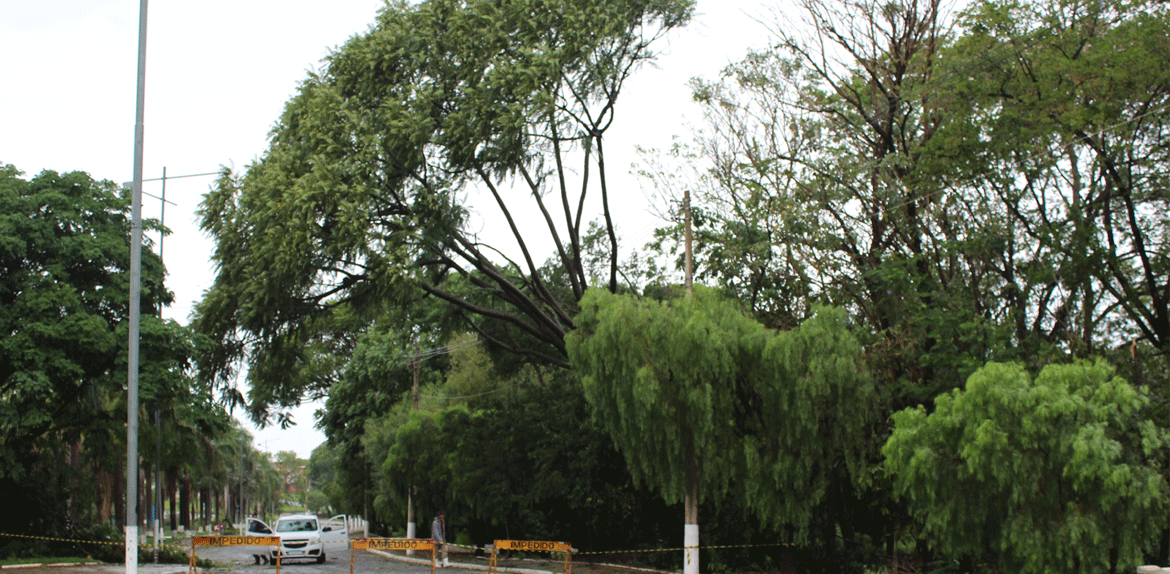 Ventania causa estragos e assusta moradores em Fernando Prestes