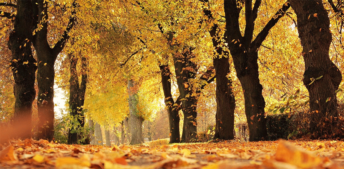 Outono inicia no Brasil nesta sexta-feira com calor acima da média em várias regiões